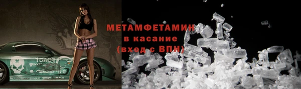 прущие грибы Алексин