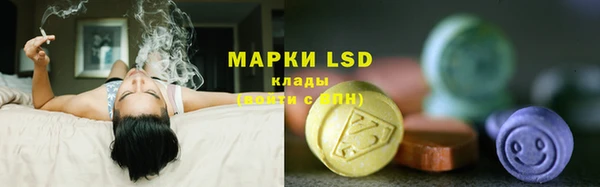 прущие грибы Алексин